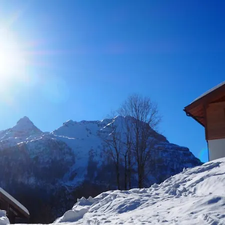 Salzburger Bergklause فايدسباخ بي لوفر